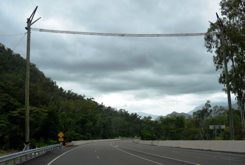16Lucinda (39).JPG - Rope ladder for animals (Possums) to safely cross the highway near Cardwell